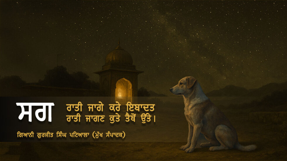 ਸਗ